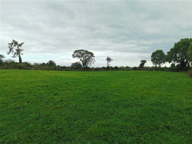 Photo 25 of 54 — Castlegrogan, Errill, Laois