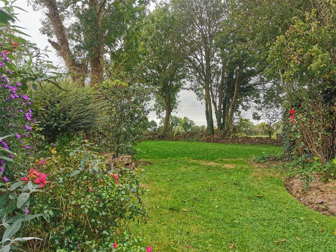 Photo 18 of 54 — Castlegrogan, Errill, Laois