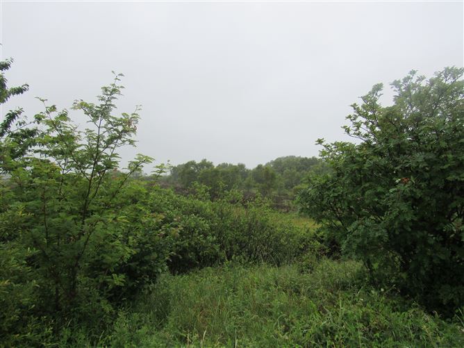 Barnahesker, Kilkelly, Mayo