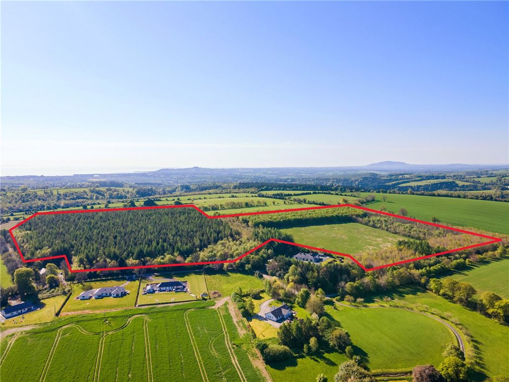 Land, Ballyarthur, Woodenbridge, Co. Wicklow