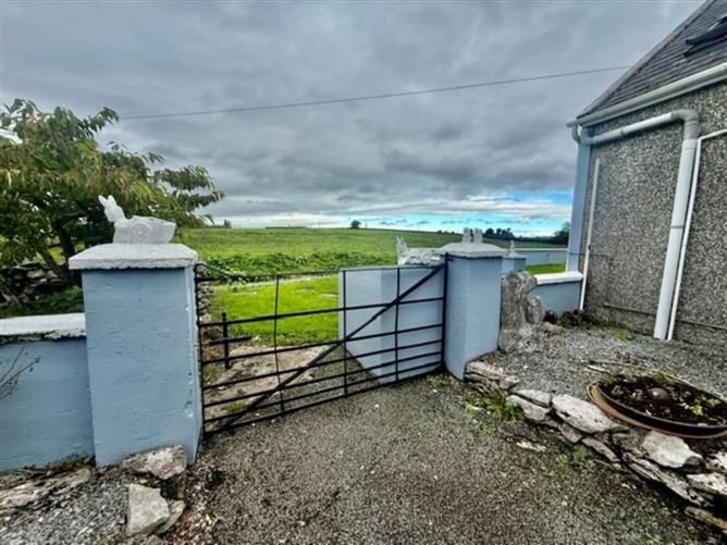 Roo, Gort, County Galway