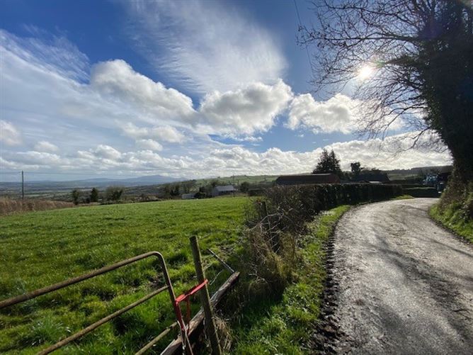 Raheen Lane, Old Leighlin, Carlow