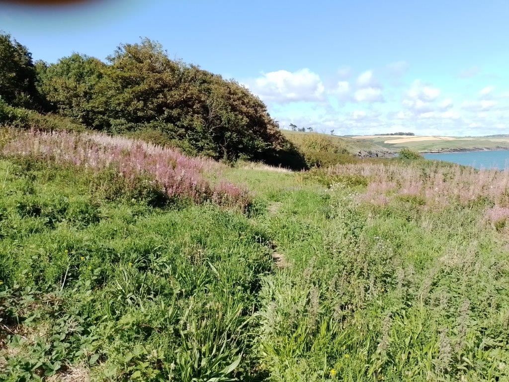 Private, Courtaparteen, Co. Cork