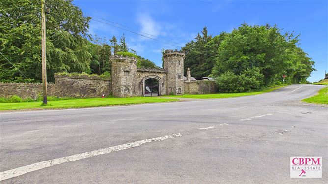 Photo 27 of 47 — Saint Martins, Chapel Street, Ballinakill, Laois