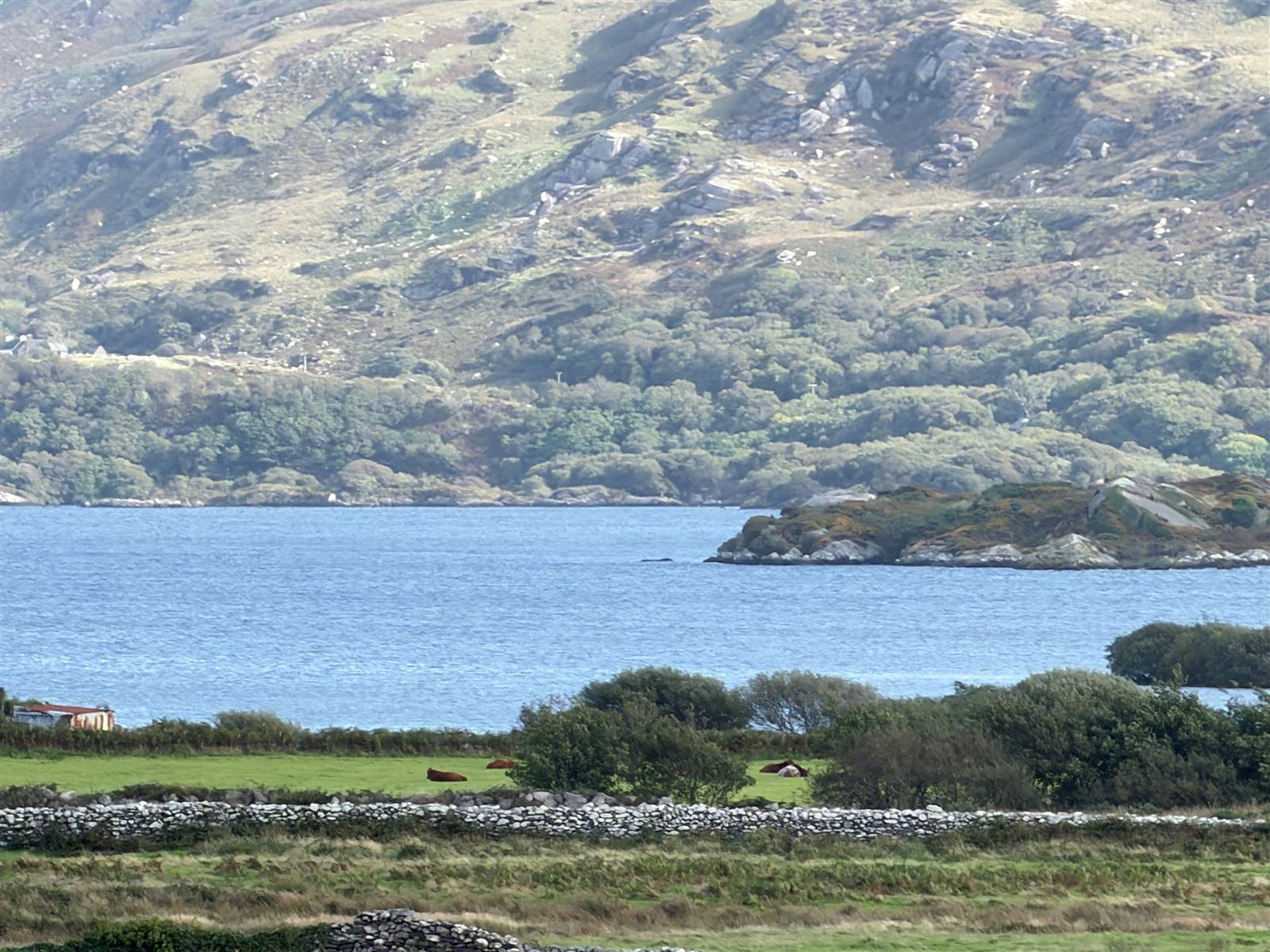 Photo 1 of 36 — Ref 1246 - Lakeside Residence, Beenbane, Waterville, Kerry