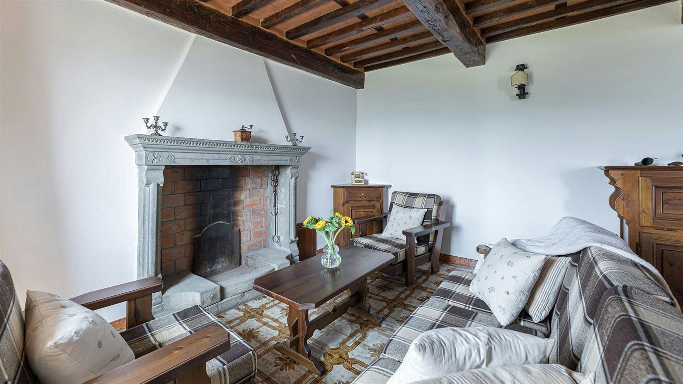 Chestnut Woods,Vetteglia, Tuscany, Italy