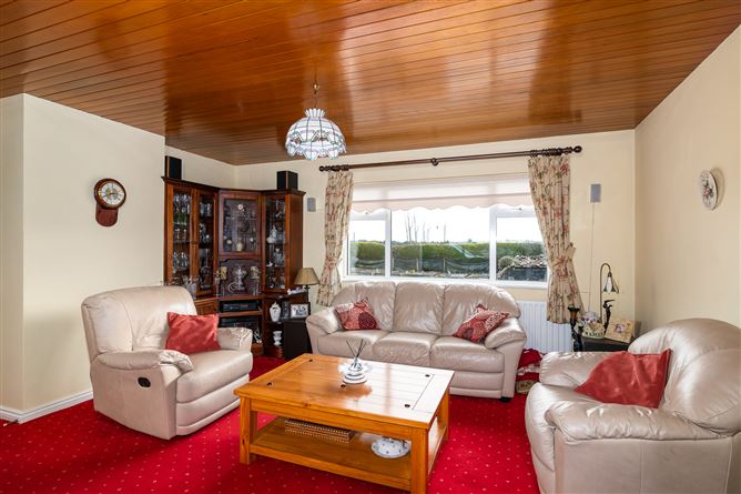 Daingean Road, Tullamore, Offaly