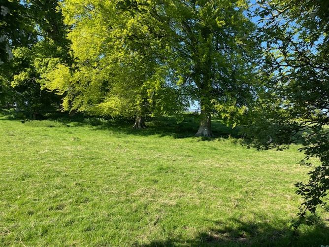 Nobber Road, Drumconrath Village, Drumconrath, Meath