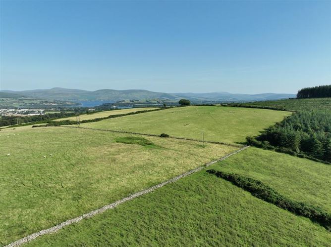 Land C. 57 Acres, Newtown Great, Ballymore Eustace, Naas, Kildare
