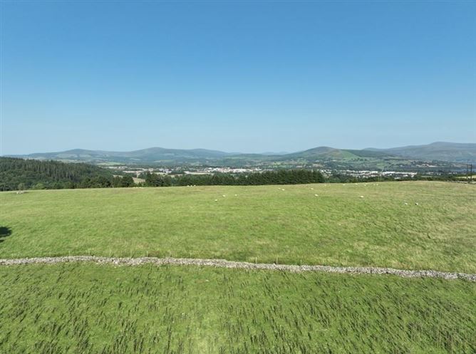 Land C. 57 Acres, Newtown Great, Ballymore Eustace, Naas, Kildare
