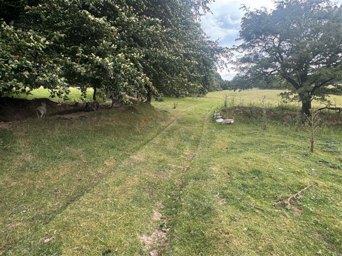 Photo 6 of 7 — Land C. 57 Acres, Newtown Great, Ballymore Eustace, Naas, Kildare