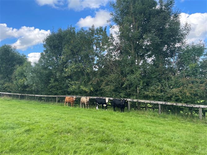 Land c. 17.5 Acres / 7.6 Hectares, Dunlavin, Wicklow