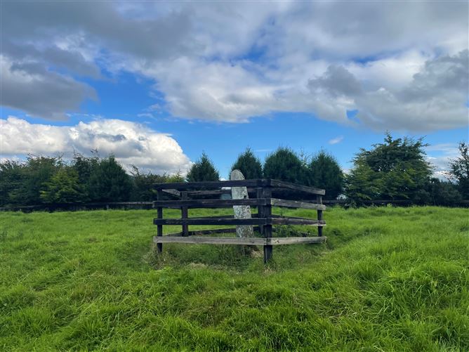Land c. 17.5 Acres / 7.6 Hectares, Dunlavin, Wicklow