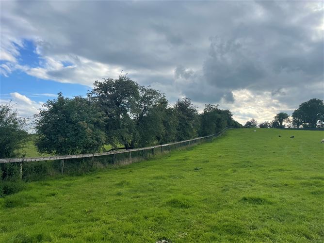 Land c. 17.5 Acres / 7.6 Hectares, Dunlavin, Wicklow
