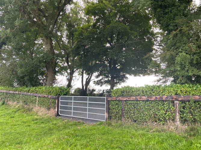 Land c. 17.5 Acres / 7.6 Hectares, Dunlavin, Wicklow