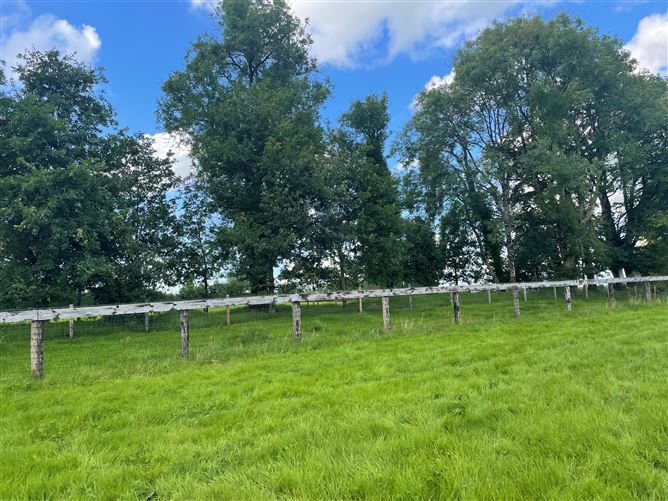 Land c. 17.5 Acres / 7.6 Hectares, Dunlavin, Wicklow