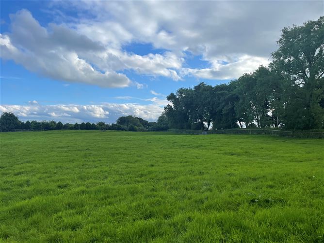 Land c. 17.5 Acres / 7.6 Hectares, Dunlavin, Wicklow