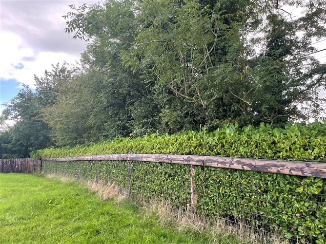 Land c. 17.5 Acres / 7.6 Hectares, Dunlavin, Wicklow