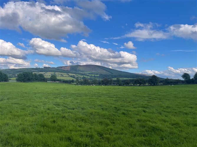 Land c. 17.5 Acres / 7.6 Hectares, Dunlavin, Wicklow