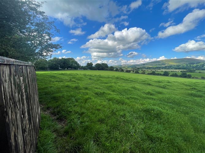 Land c. 17.5 Acres / 7.6 Hectares, Dunlavin, Wicklow