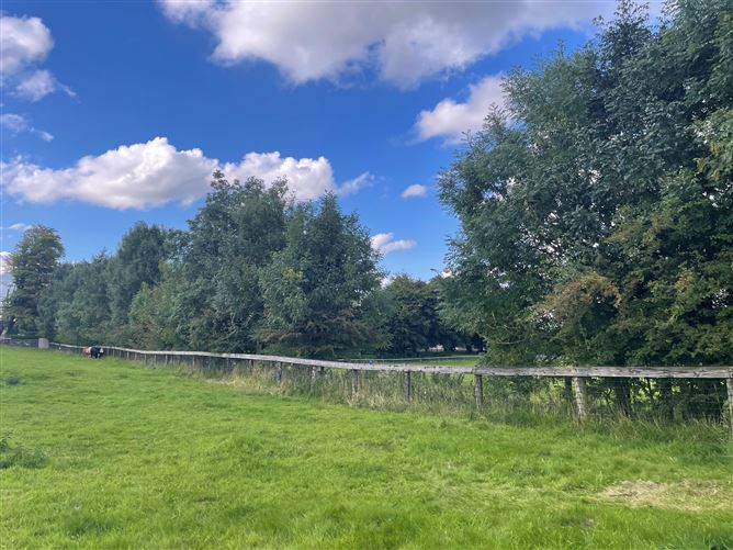 Land c. 17.5 Acres / 7.6 Hectares, Dunlavin, Wicklow