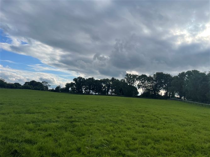 Land c. 17.5 Acres / 7.6 Hectares, Dunlavin, Wicklow
