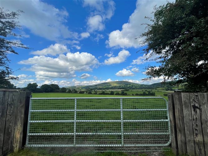 Land c. 17.5 Acres / 7.6 Hectares, Dunlavin, Wicklow