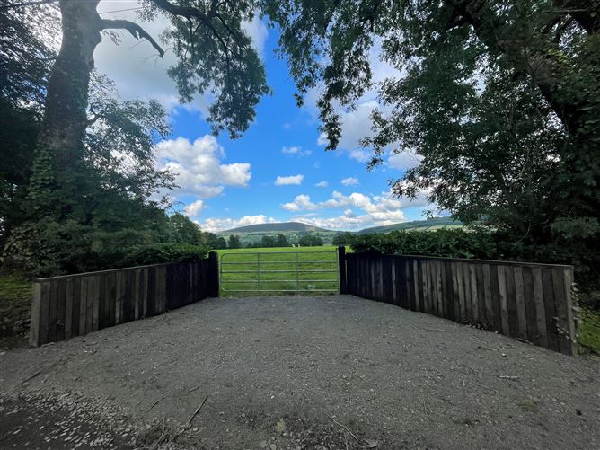 Land c. 17.5 Acres / 7.6 Hectares, Dunlavin, Wicklow