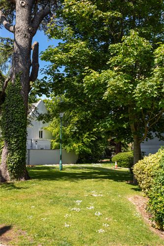 Roebuck Park, 15, Clonskeagh,   Dublin 14
