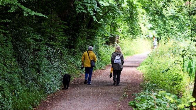 Limebrook, Navan, Meath