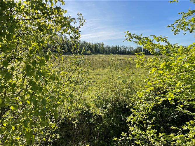 Land c. 4 Acres, Dunnestown, Naas, Kildare