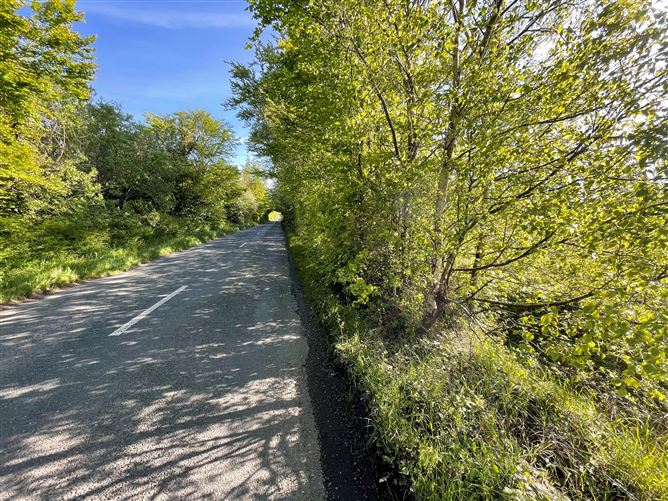 Land c. 4 Acres, Dunnestown, Naas, Kildare