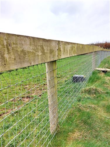 Ballygeehin Upper, Ballacolla, Portlaoise, Laois