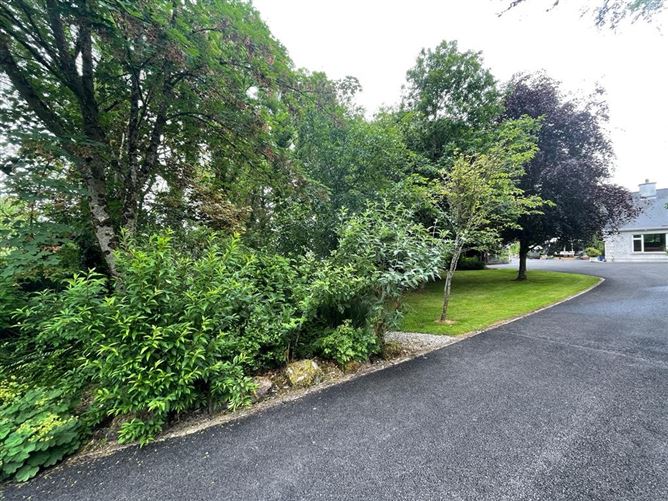 Drumnalasson, Ballaghaderreen, Roscommon