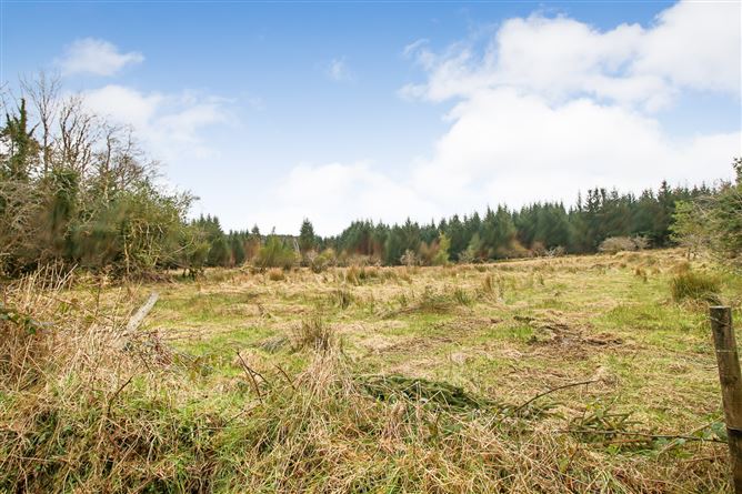 'Moytura', Lecarrow, Ballinafad, Co. Sligo
