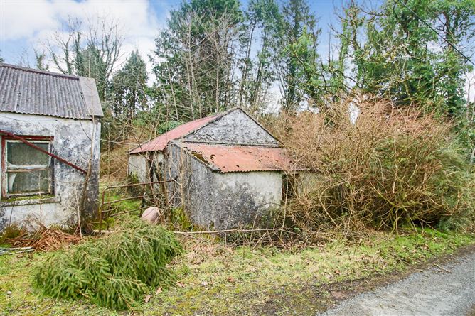 'Moytura', Lecarrow, Ballinafad, Co. Sligo