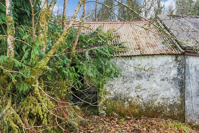 'Moytura', Lecarrow, Ballinafad, Co. Sligo