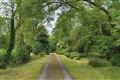 Toonlane, Ballymakeera