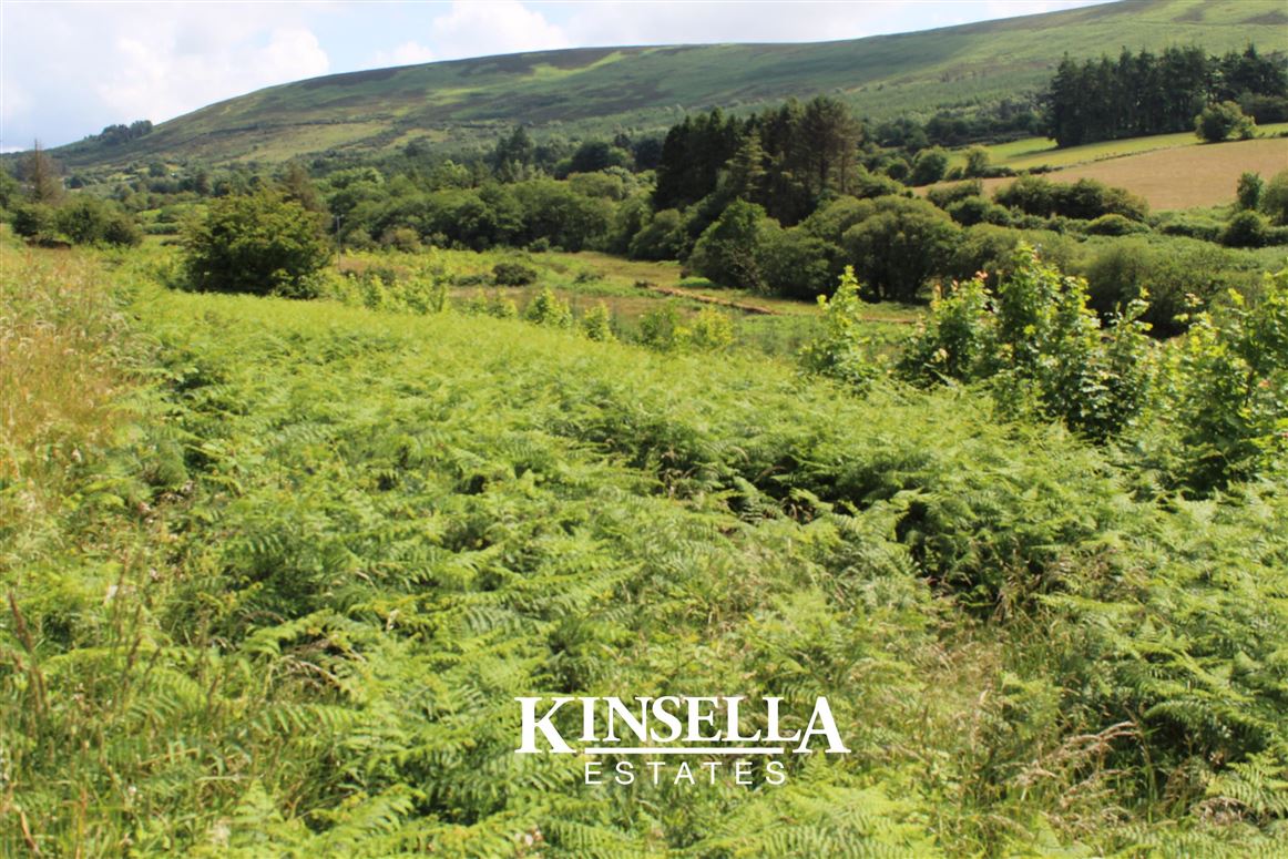 Knockroe, Borris, Carlow