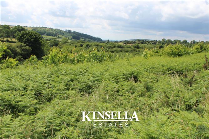 Knockroe, Borris, Carlow