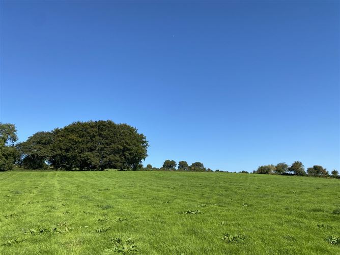 Killacloran, Aughrim, Wicklow
