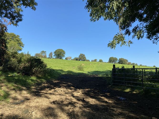 Killacloran, Aughrim, Wicklow