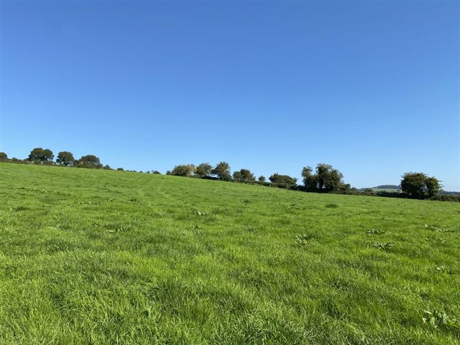 Killacloran, Aughrim, Wicklow