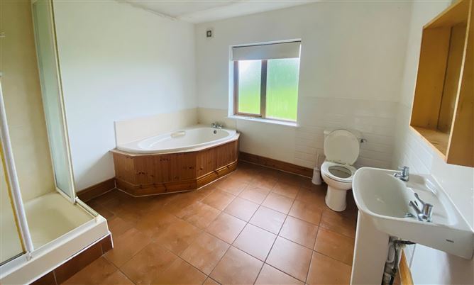 Cloncough, Mountrath, Laois