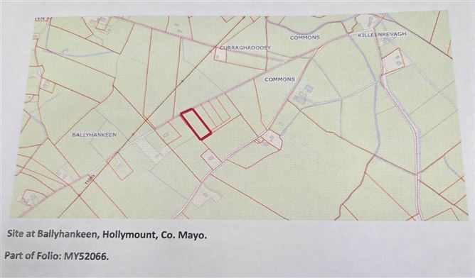 Ballyhankeen, Hollymount, Mayo