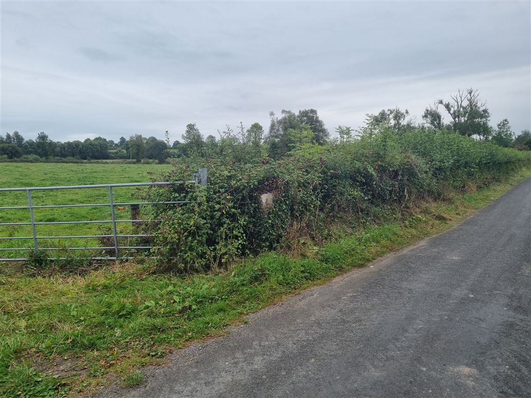 Coolistigue Site 5, Clonlara, Clare