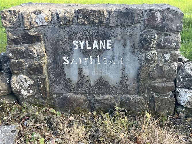 Sylaun, Dunmore, Galway