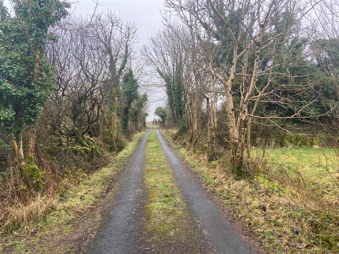 Cloonerkaun, Cloonfad, Roscommon