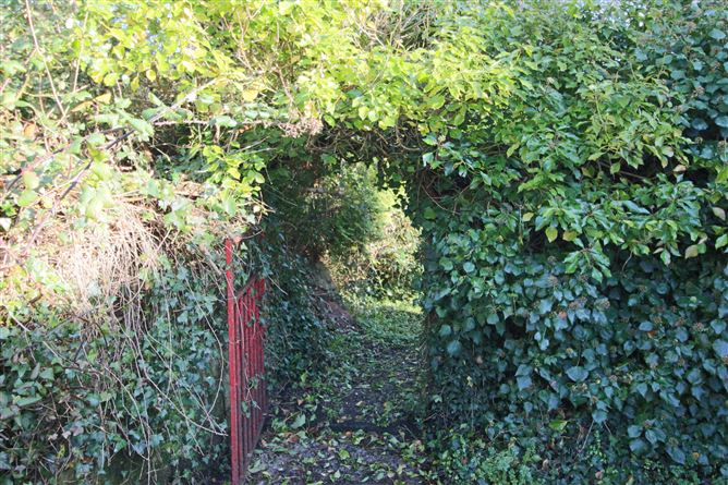 Quay Street, Drumsna, Co. Leitrim