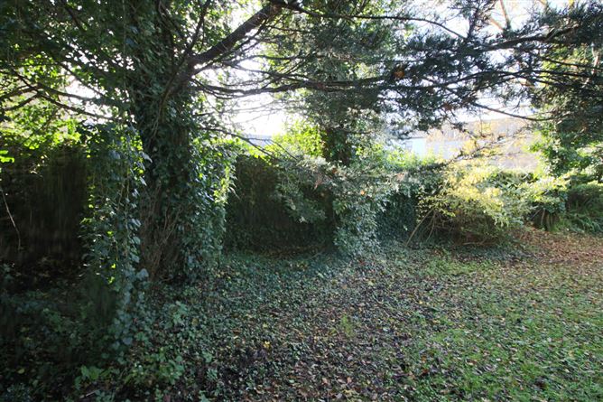 Quay Street, Drumsna, Co. Leitrim